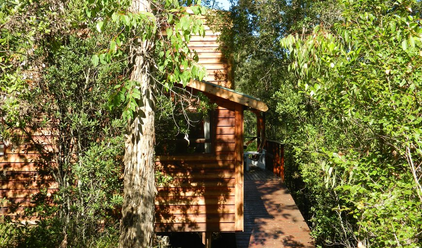 Coucal Cabin: Each cabin is so positioned as to provide optimum privacy and seclusion and as they are built on stilts at the edge of a gorge, give guests the feeling and ambiance of being in the tree tops.