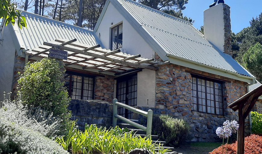 Welcome to Yellow Wood Cottage in Constantia, Cape Town, Western Cape, South Africa