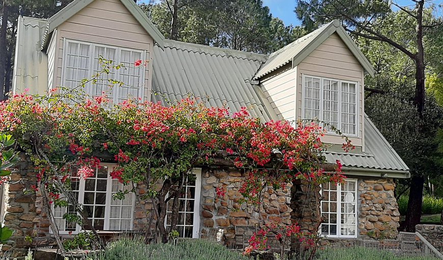 Welcome to Houtkapperspoort No 7 Blue Gum Cottage in Constantia, Cape Town, Western Cape, South Africa