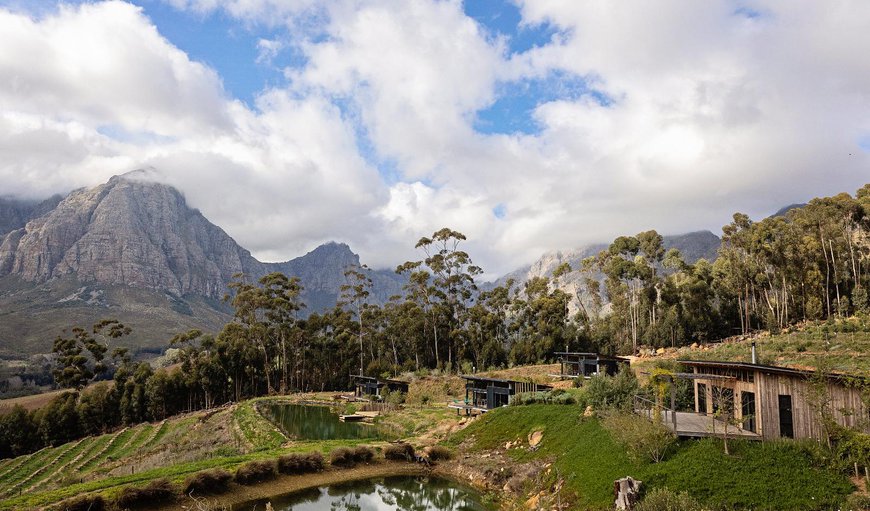 Welcome to Camissa Farm in Stellenbosch, Western Cape, South Africa