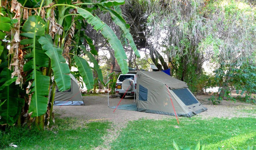 Campsite for Tents (Maximum of 6 people): Campsite for Tents (Max 2 Person) & (Maximum of 6 people) & (Max 15 people)