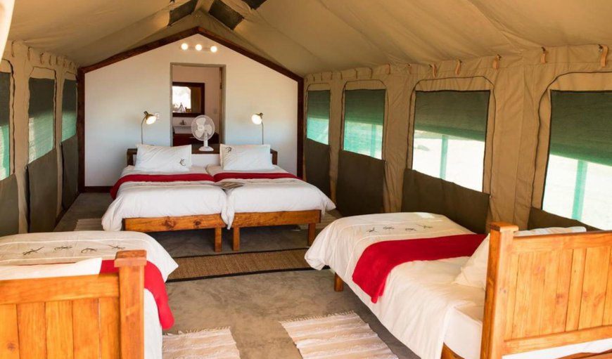 Camping2Go: Tent interior