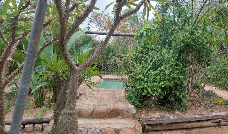 Pool in Hoedspruit, Limpopo, South Africa