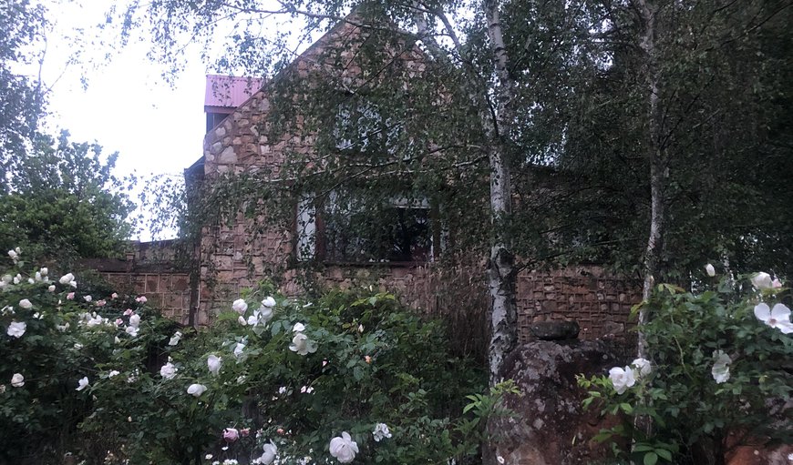 Welcome to iDullies Cottage Critchley! in Dullstroom, Mpumalanga, South Africa