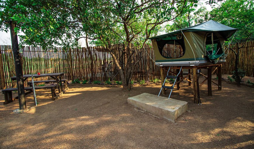 Tented Camp with Private Ablution: Tented Camp - Outside view