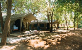 Mazunga Tented Camp image
