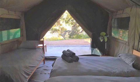 4 Sleeper Tent: Bed