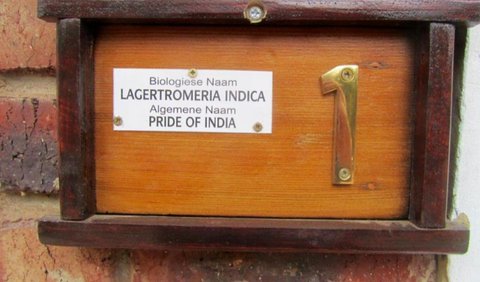 Unit 1 Pride of India S/C: Decorative detail