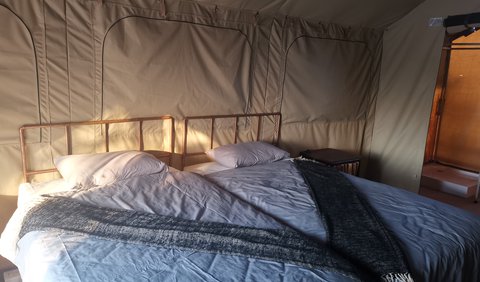 Luxury Tent: Luxury Tent Interior