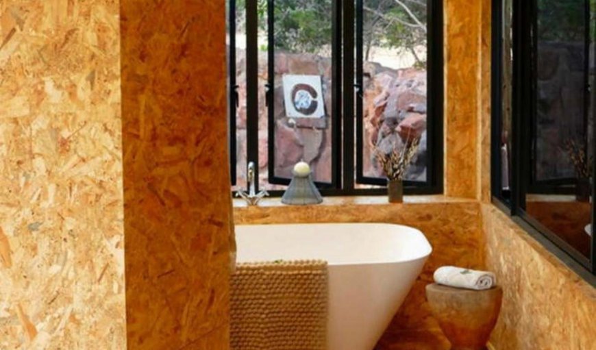 Standard Suite - Ystervark: Bathroom