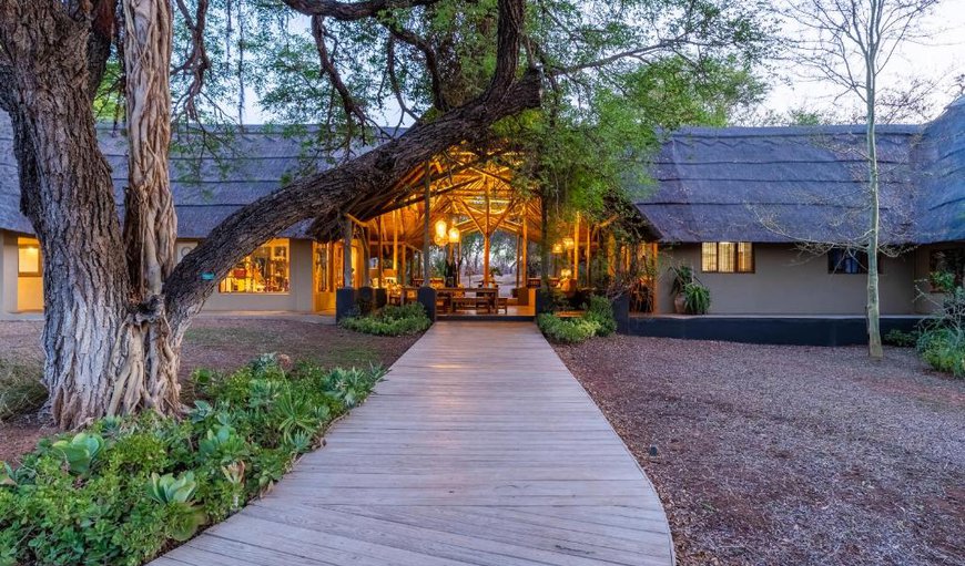 Welcome to Thornybush Game Lodge in Thornybush Game  Reserve, Mpumalanga, South Africa