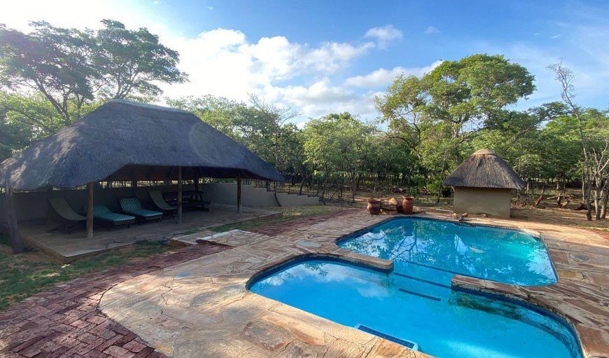Swimming pool in Vaalwater, Limpopo, South Africa