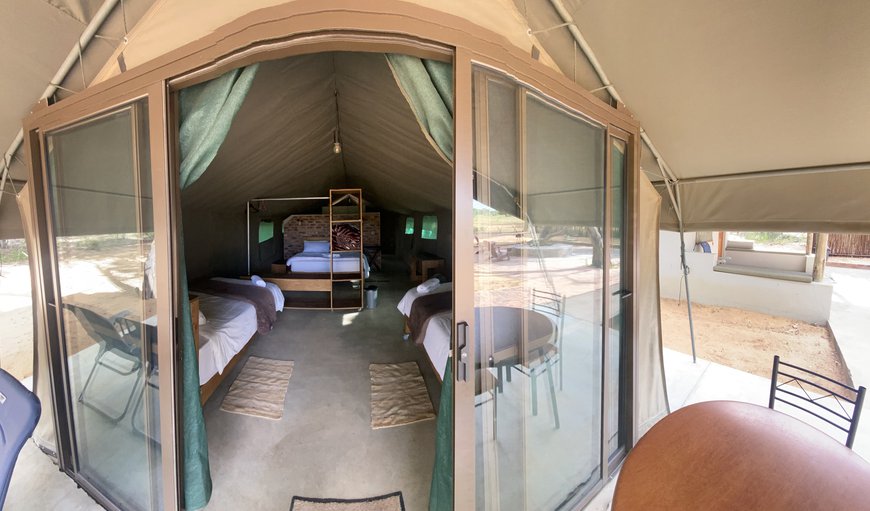 Entrance - Luxury tent