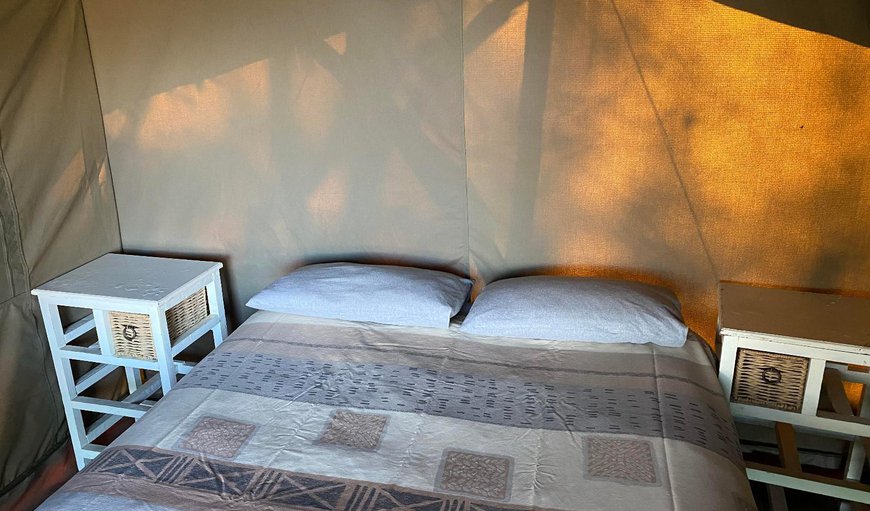 Soetvlei Square Tent - 2-sleeper: Bed