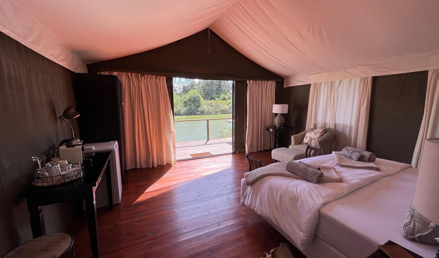 Safari Tent: Bed