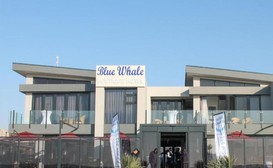 Blue Whale Hotels image