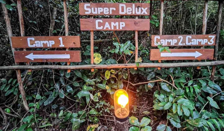 Super Deluxe Camp: Decorative detail