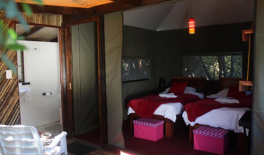 Bitou Room: Luxury safari tents