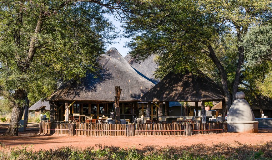 Tumbeta Private Game Reserve in Thabazimbi, Limpopo, South Africa
