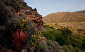 Karee Kloof Conservancy & Guest Farm image