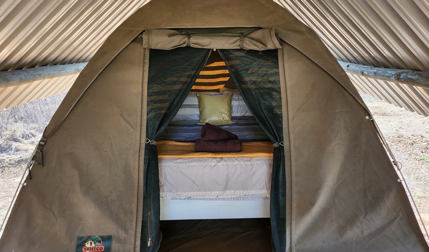 Porcupine River View Tent: Bedroom
