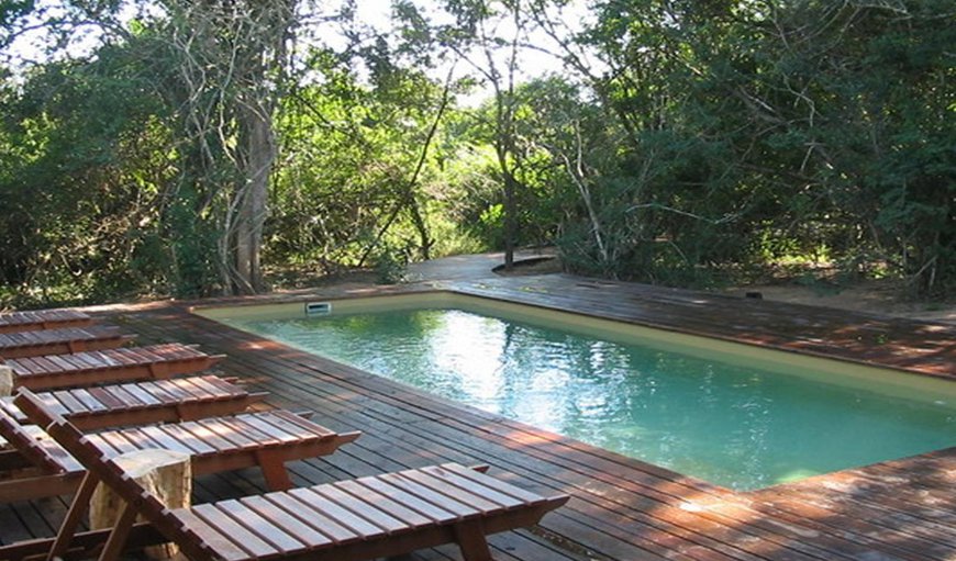 Swimming pool in Hluhluwe, KwaZulu-Natal, South Africa