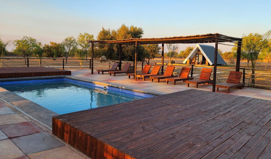 Pool view in Dinokeng Game Reserve, Gauteng, South Africa