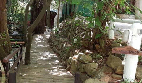 Deluxe Cabin - Yellowwood Tree Cottage: Entrance Walkway