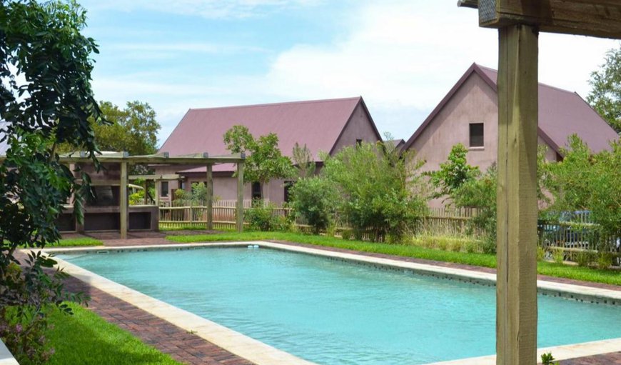 Swimming pool in Hoedspruit Wildlife Estate, Hoedspruit, Limpopo, South Africa