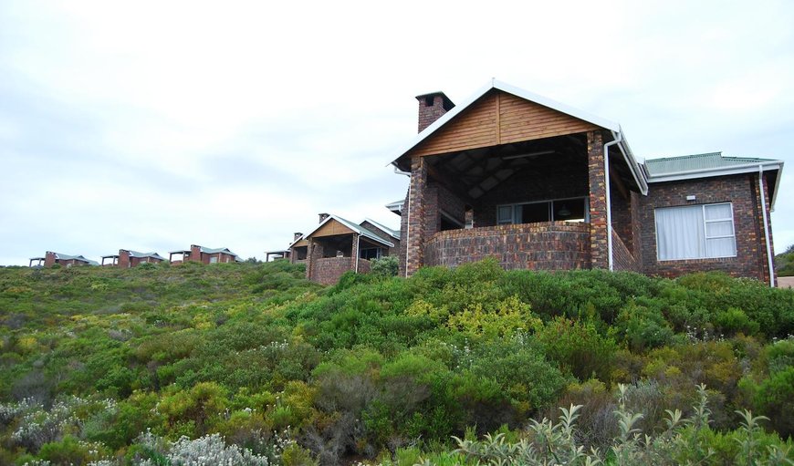 Blue Whale Resort in George, Western Cape, South Africa