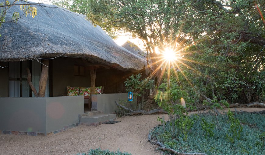 Kambaku Safari Lodge consists of 7 thatched, en-suite chalets that are situated in a semi-circle overlooking a beautiful waterhole.
