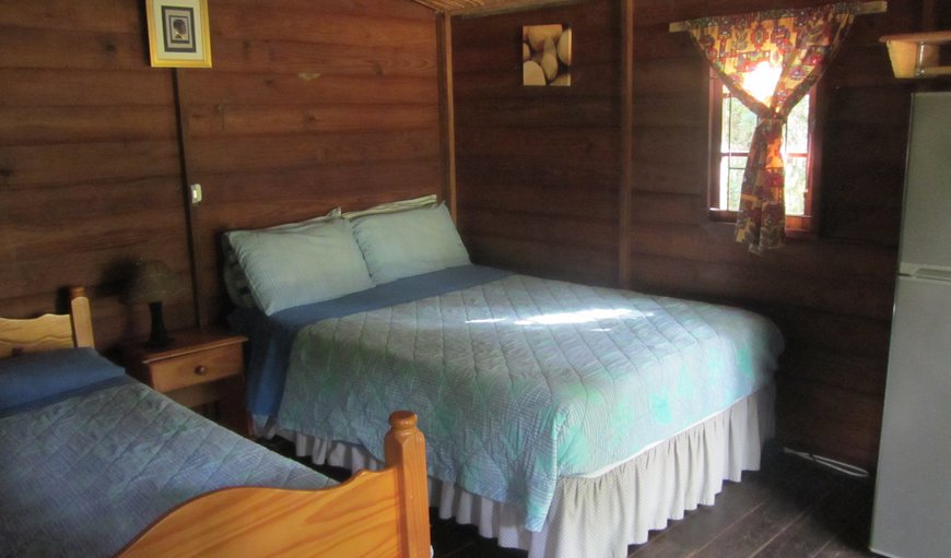 Bandit Blenny: 3 sleeper cabin with double bed & single bed