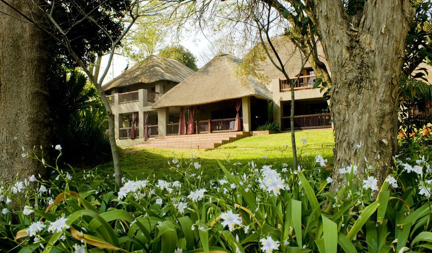 Welcome to Monchique Guest House in Muldersdrift, Gauteng, South Africa