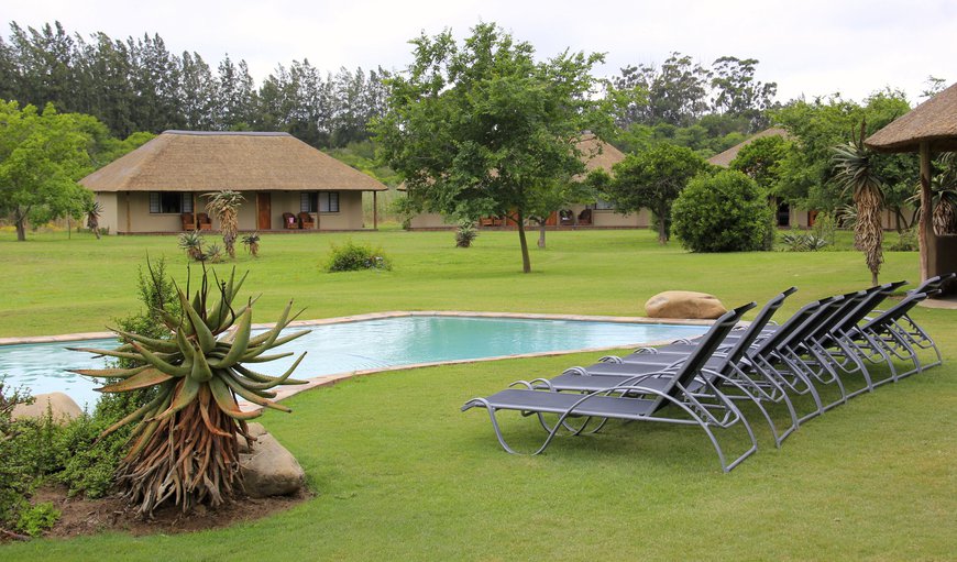 Garden and pool area in Addo, Eastern Cape, South Africa