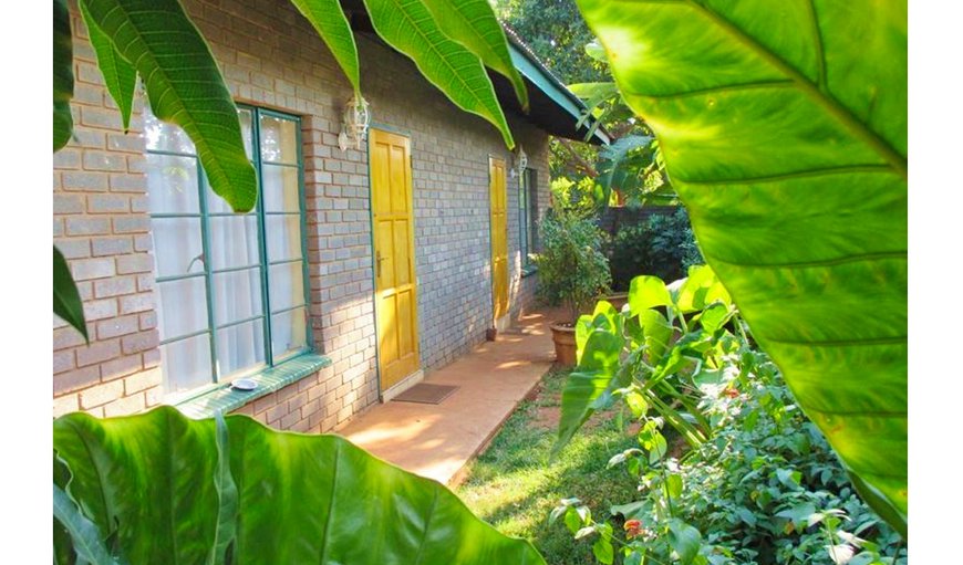 Lutea Guest House offers bed and breakfast accommodation in a peaceful and quiet setting. in Mokopane (Potgietersrus), Limpopo, South Africa