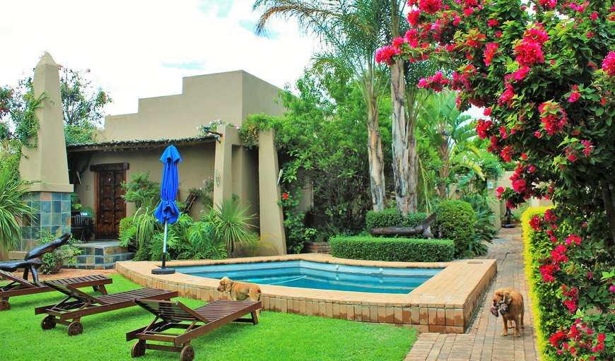 Welcome to African Roots Guesthouse in Polokwane, Limpopo, South Africa
