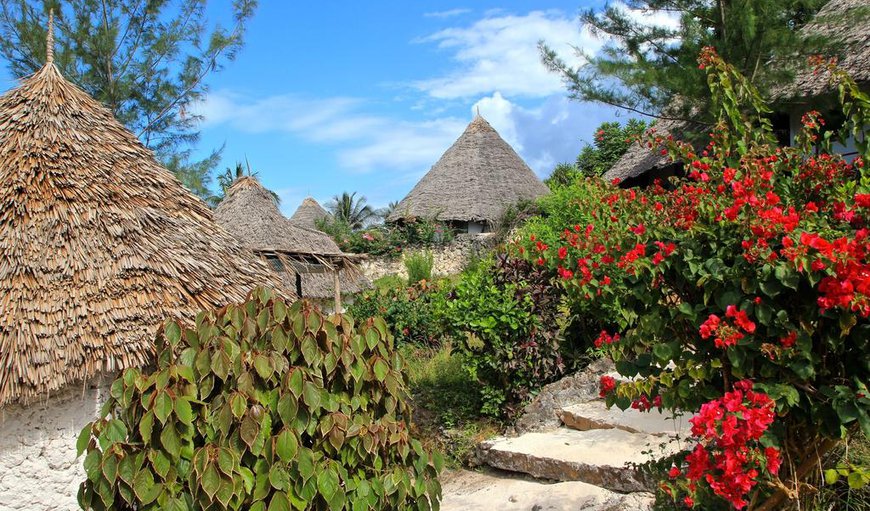 The Rooms : The guest rooms are bungalows styled with coconut thatched roofs.