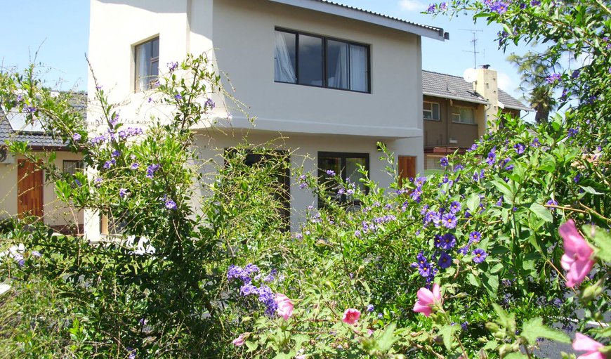 Welcome to Silver Birch Bed and Breakfast! in Roodepoort, Gauteng, South Africa