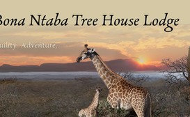 Bona Ntaba Tree House Lodge image
