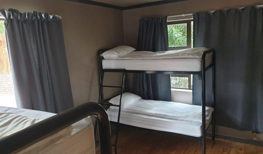 4 Bed Mixed Dormitory: Bed